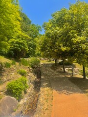 공원의 길과 나무