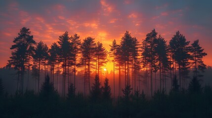 The silhouettes of tall pine trees at dusk, with the sky painted in hues of orange and pink as the sun sets behind the horizon. List of Art Media Photograph inspired by Spring magazine