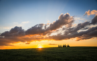 Cowboy sunset
