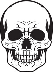 Human Skull Black Shallotte 