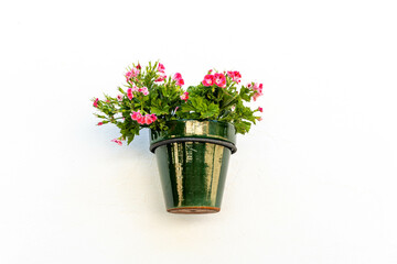 Pot with flowering plant hanging on a white wall.