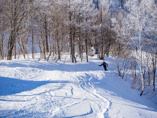 スキー場　ゲレンデ風景　長野県白馬村