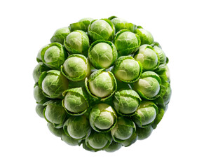 Fototapeta premium Compact Brussels Sprout isolated on transparent background Ai generative.