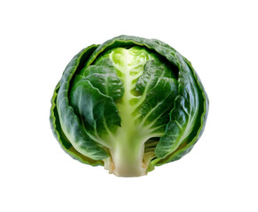 Fototapeta premium Compact Brussels Sprout isolated on transparent background Ai generative.