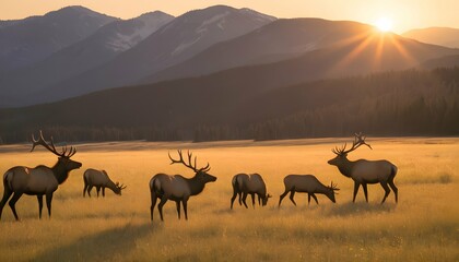 A Group Of Elk Grazing In A Meadow The Sun Settin Upscaled 7