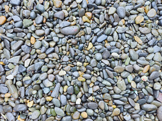 gravel in the yard or garden