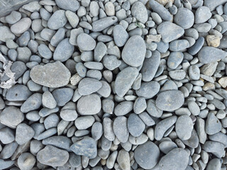 gravel in the yard or garden