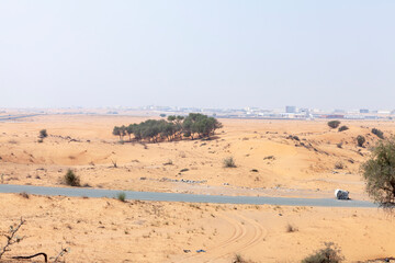Trees and desert sand landscapes, UAE