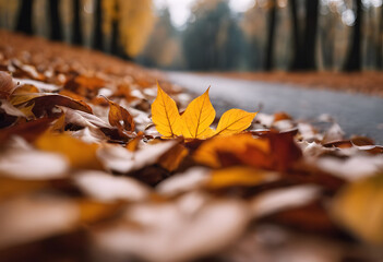 A close-up of a yellow autumn leaf on a bed of fallen leaves with a blurred forest path in the background.