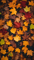 Fototapeta premium A vibrant assortment of autumn leaves in various shades of yellow, orange, red, and brown, scattered on the ground.