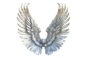 Obraz premium silver color wings isolated on a white background