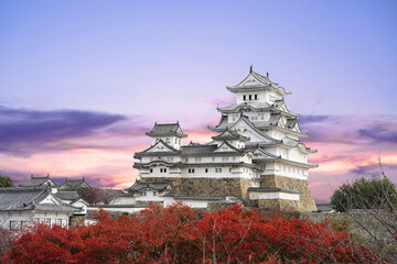 Himeji Castle and red maple leaves in autumn and sunlight in the evening sky in Himeji city Hyogo...