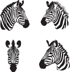 Graphic set of zebra on white background,
