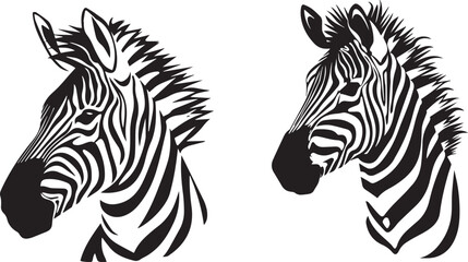Graphic set of zebra on white background,