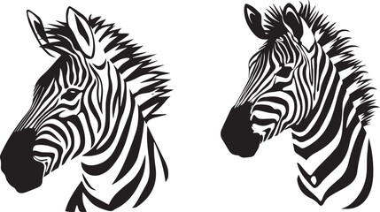 Graphic set of zebra on white background, © AP vector & Png