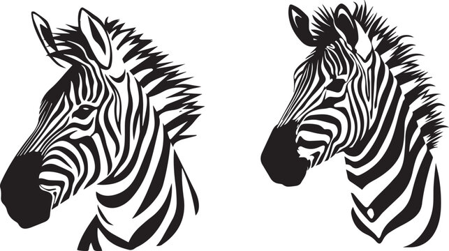 recommend clip art: Graphic set of zebra on white background,