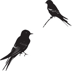 Set of black silhouettes of bird swallow 