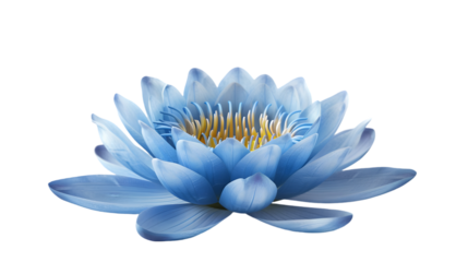 one blue lotus flower isolated on a transparent background