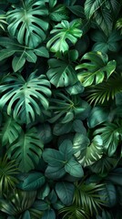Dense jungle foliage, isolated dark green background, large copy space top for text