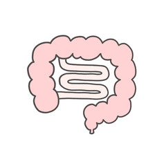 健康的な腸のシンプルなイラスト