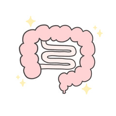 健康的な腸のシンプルなイラスト