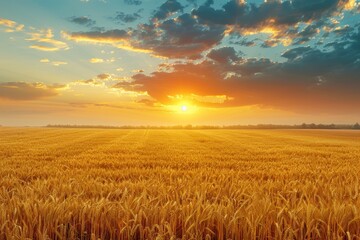 Naklejka premium Golden wheat field at sunset, set against a yellow backdrop, offers ample space for text at the top