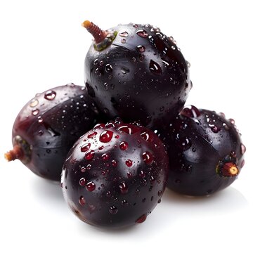 jambul on white background