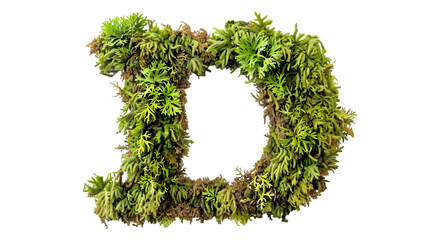 Green moss in shape alphabet letter D isolated on a transparent background