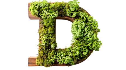 Green moss in shape alphabet letter D isolated on a transparent background