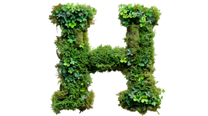 Green moss in shape alphabet letter H isolated on a transparent background