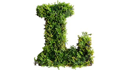 Green moss in shape alphabet letter L isolated on a transparent background