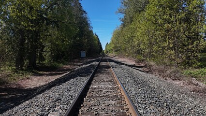 Fototapeta premium default