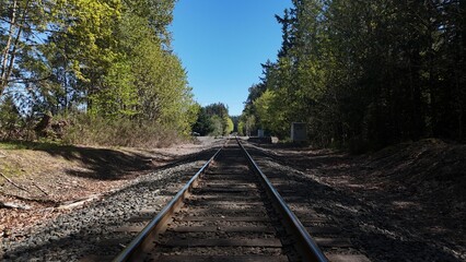 Fototapeta premium default