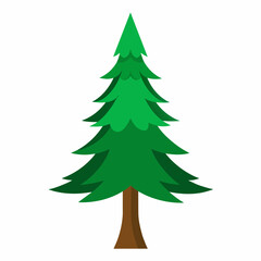 Pine tree vector illustration 