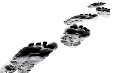 footprints isolated on a transparent background