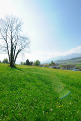 A beautiful day in the summertime of the Austrian countryside