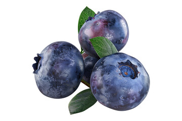 Obraz premium Blue berries Isolated on white background