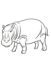 rhino cartoon isolated on white
