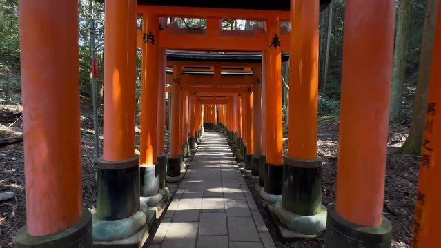 Walking forward through orange gates of Fushimi Inari Taisha