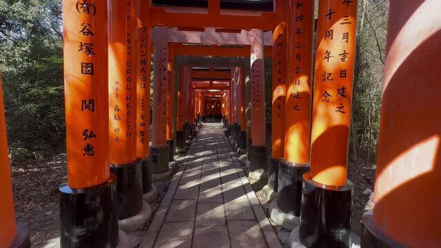 Dolly zoom through vermilion arches at Fushimi Inari Taisha in Kyoto Japan.