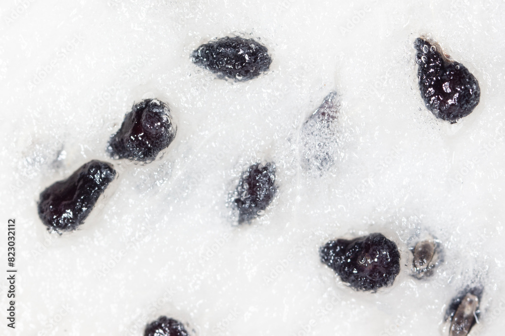 Wall mural Seeds on dragon fruit pulp as background. Macro