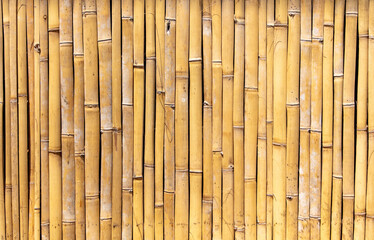 Dry bamboo fence as an abstract background. Texture