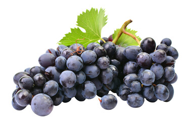 Bunch of grapes isolated