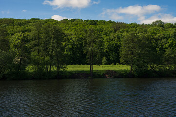 Green juicy lush grass and trees on calm river bank. Sunny day, deep shadows, white clouds