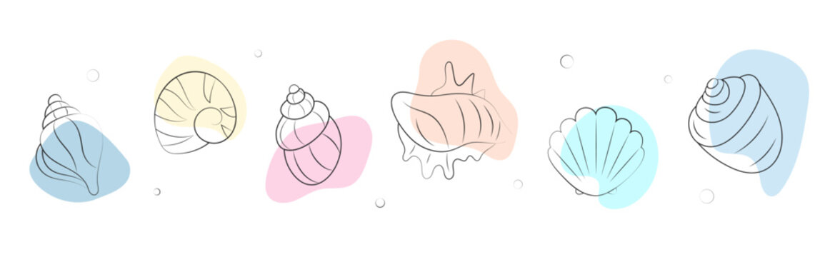 Set of seashells in boho doodle style. Marine life design elements collection.  Hand drawn vector illustration isolated on white background. 