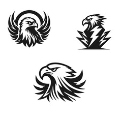 Highly detailed your Eagle logo set silhoette vector illustration isolated on white background