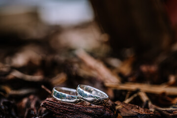 Riga, Latvia, - August 26, 2024 -  two wedding rings placed on dark, textured wood, with a very soft, blurred background, emphasizing the rings in the foreground.