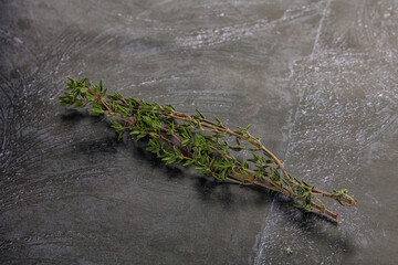 Thyme - aromatic seasoning herbal plant