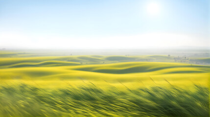 flat steppe with fresh green meadow during the day with light fog in the background,