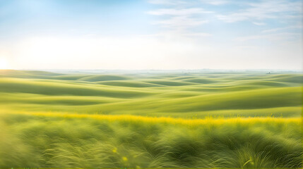 flat steppe with fresh green meadow during the day with light fog in the background,